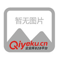 供應活力板、游龍板、沖浪板、滑板車/麥克街板